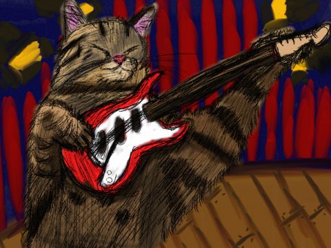 Guitar Cat On Stage